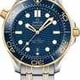 Omega Seamaster Diver 300M Co-Axial Master Chronometer Steel Yellow Gold thumbnail